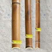фотографии Половинка бамбука обожжен.d 50-60 мм, L=2.8-3м