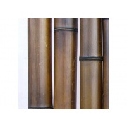 фотографии Бамбук шоколад.d 60-70 мм, L=2.8-3м