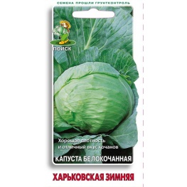 Капуста белокочанная Харьковская зимняя  (ЦВ) 0,5гр